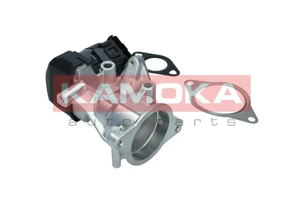 19046 Kamoka