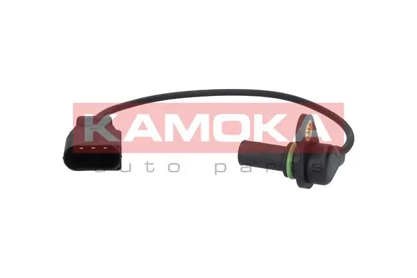 110002 Kamoka