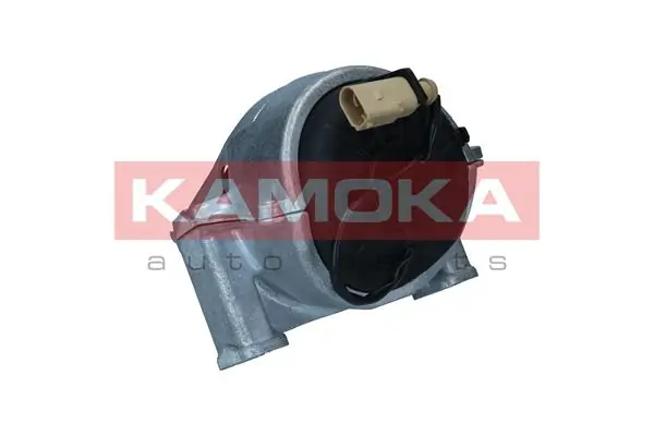 890242 Kamoka