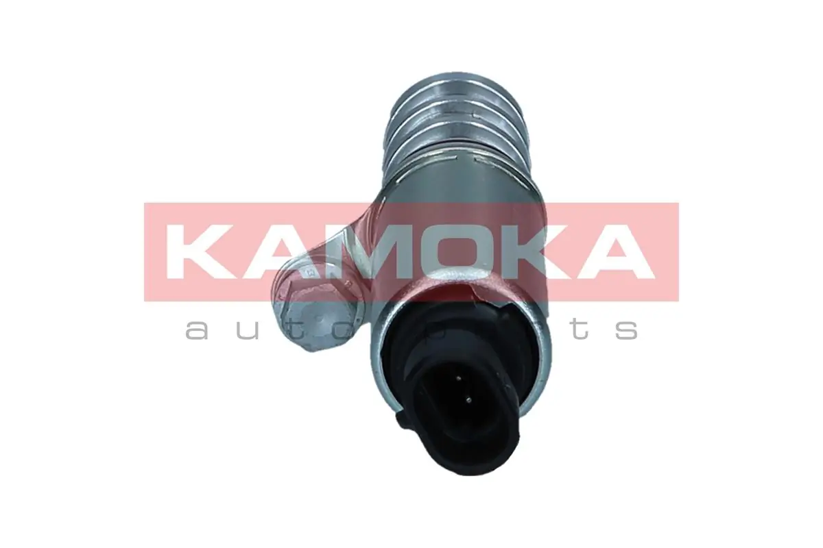 RA077 Kamoka