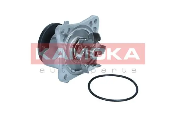 T0309 Kamoka