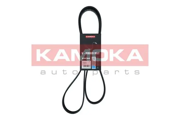 7016151 Kamoka