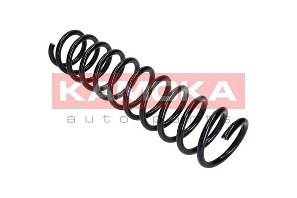 2120238 Kamoka Muelle trasero
