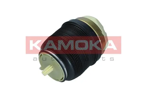 2079002 Kamoka