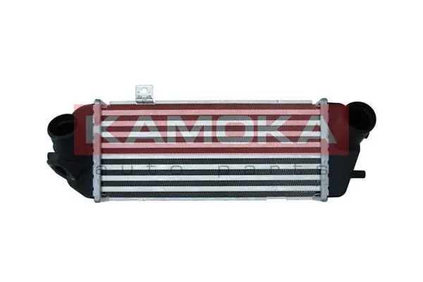 Radiador de aire, intercooler Hyundai I20 (PB)