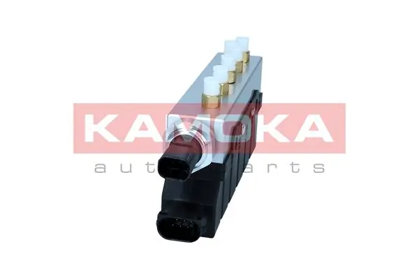 2078004 Kamoka