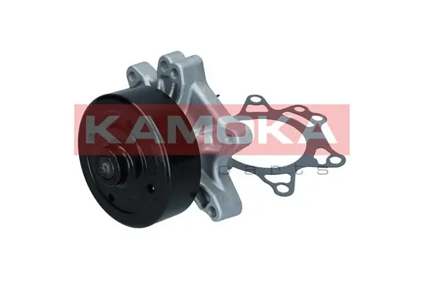 T0263 Kamoka