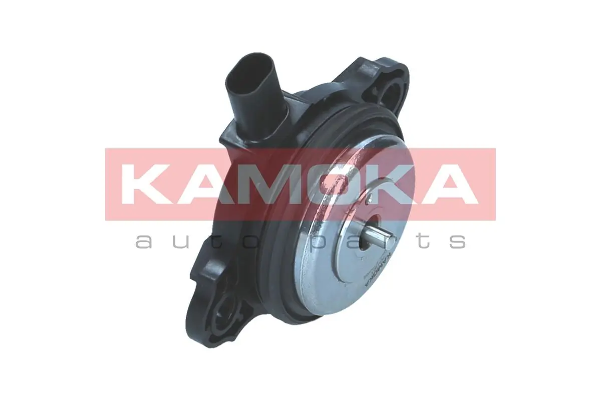 RA061 Kamoka