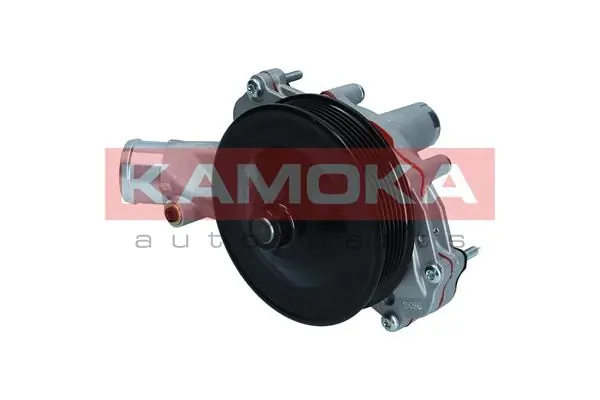 T0291 Kamoka