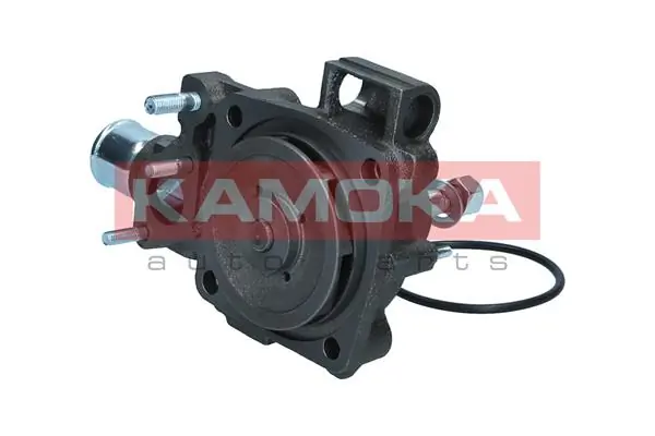 Bomba de agua 500361203 Renault (RVI)
