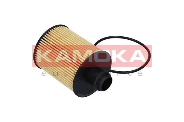 F111601 Kamoka