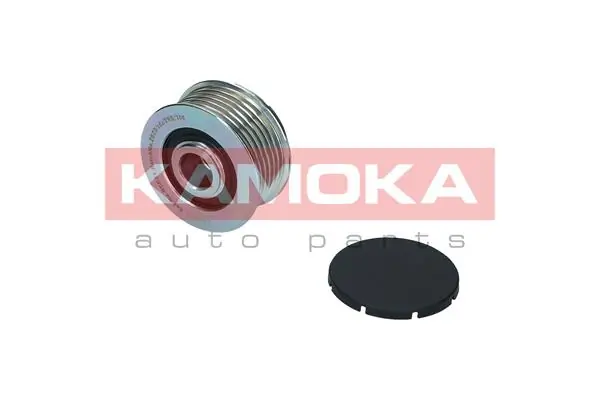 Polea de alternador para Ford Focus I (DFW)