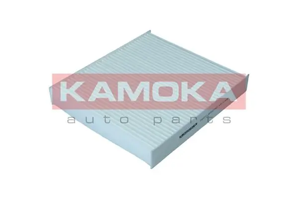 F423101 Kamoka