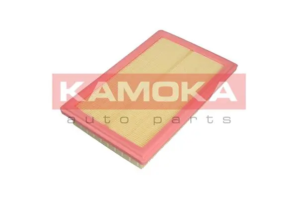 F239301 Kamoka