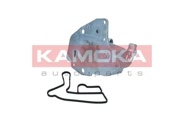 7730061 Kamoka