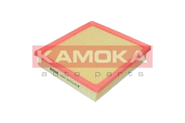 F260401 Kamoka