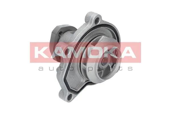 T0252 Kamoka