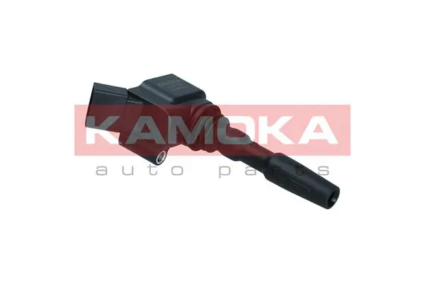 7120179 Kamoka