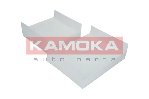 F411101 Kamoka