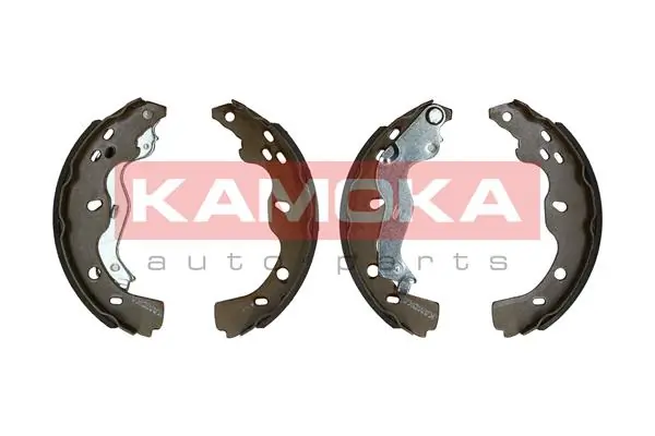 JQ202060 Kamoka
