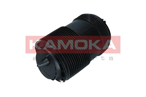 2079014 Kamoka