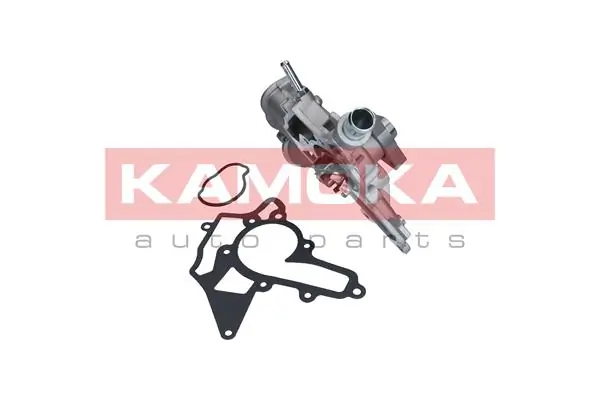 T0226 Kamoka