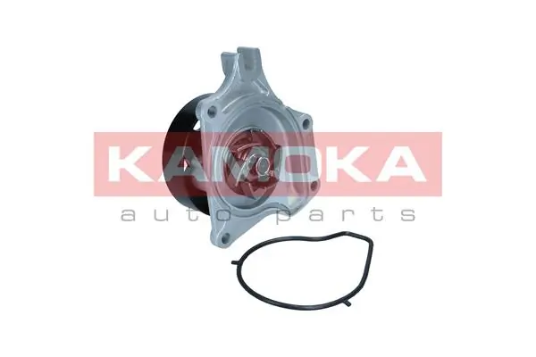 T0307 Kamoka