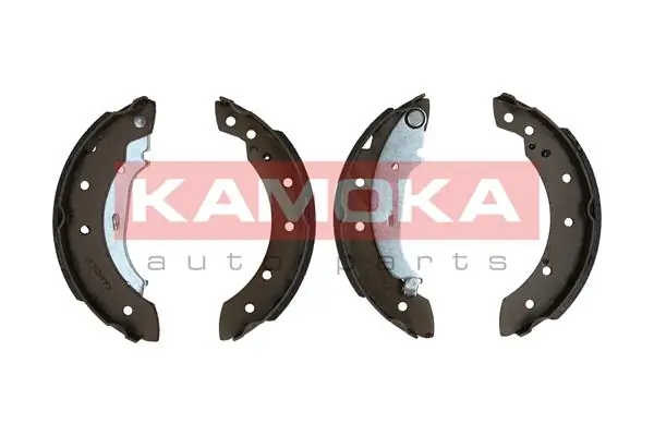 JQ202051 Kamoka