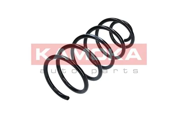 2110076 Kamoka