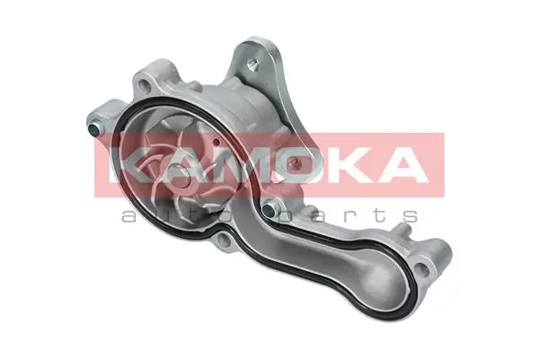 T0150 Kamoka