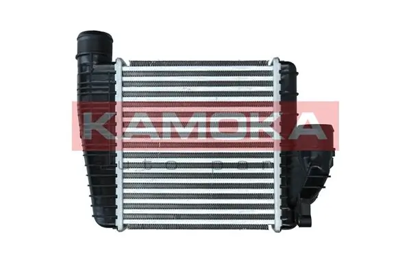 Enfriador de aire de admisión para Citroen C5  ()
