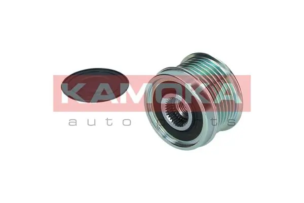 Comprar Polea alternador Ford Kuga II CBS