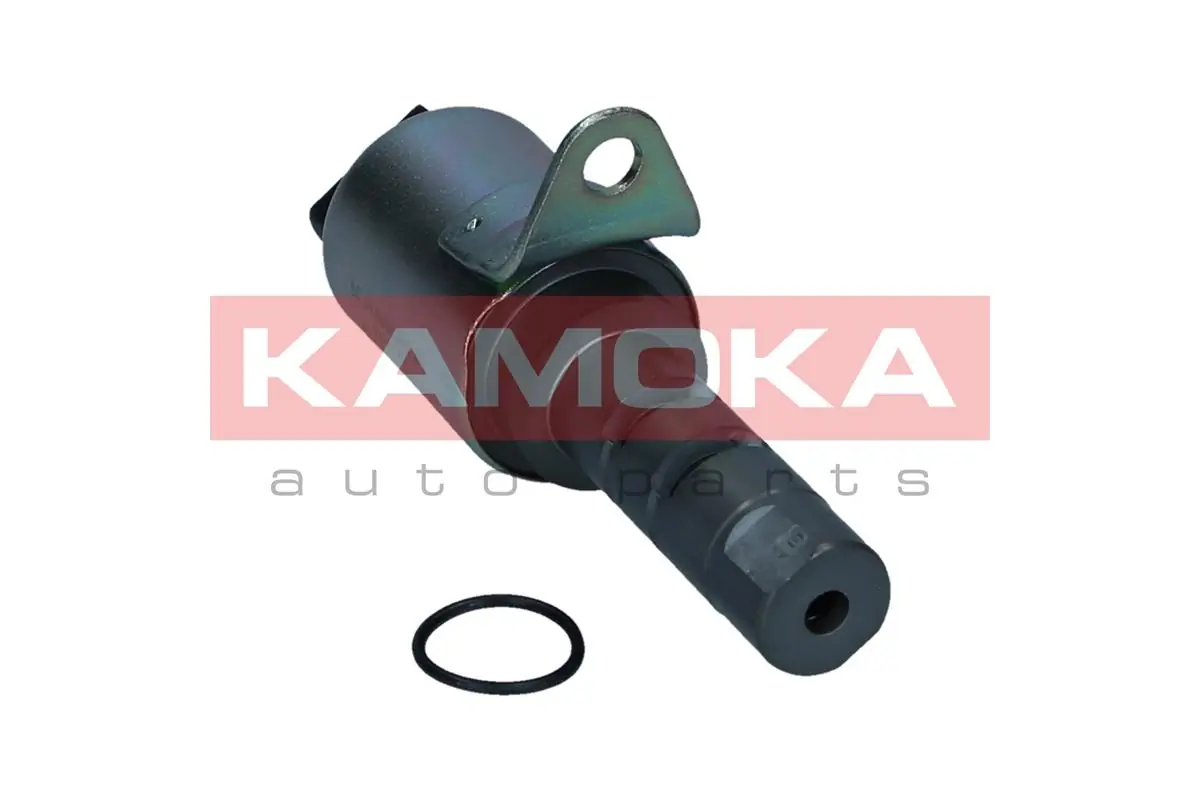 Válvula de control de aceite del árbol de levas Land Rover Freelander II