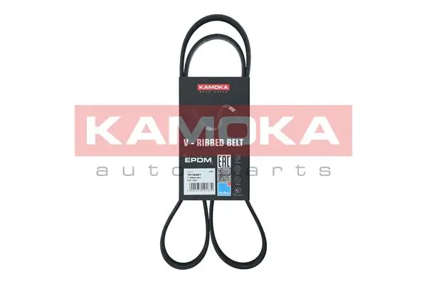 Correa de transmisión trapezoidal Dayco 6PK1265 precio, desde 19,23 EUR