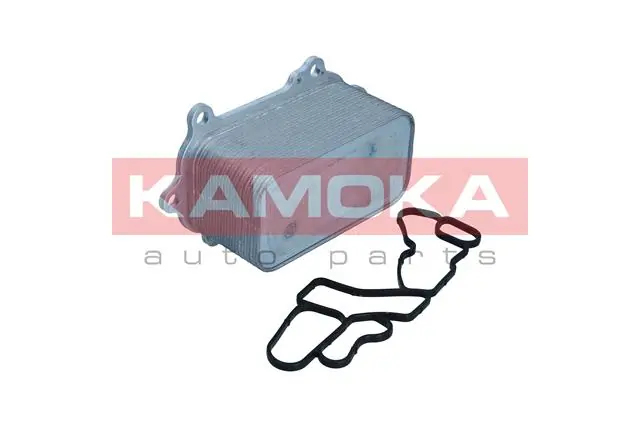 7730134 Kamoka