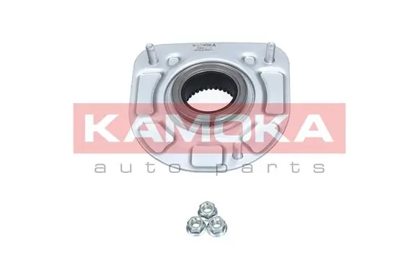 209116 Kamoka