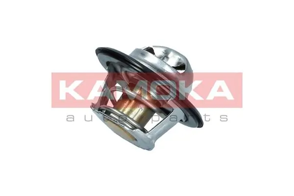 7710053 Kamoka