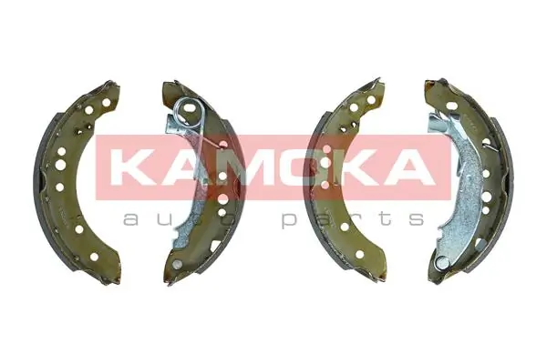 JQ202046 Kamoka