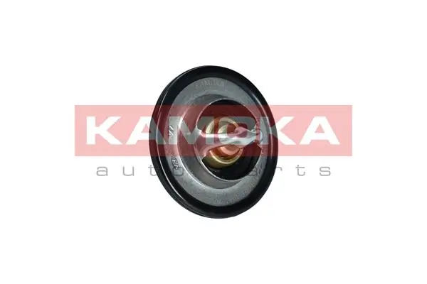 2120000Q0B Renault (RVI) Termostato de agua