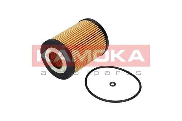 F111301 Kamoka