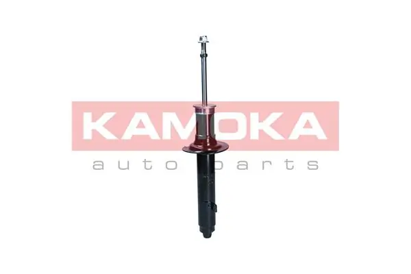 2001132 Kamoka