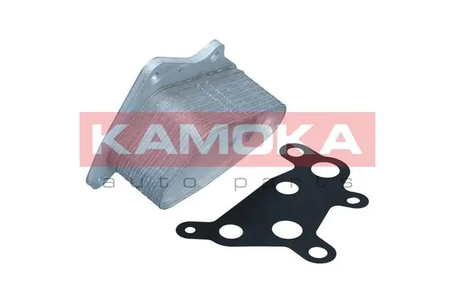 7730130 Kamoka