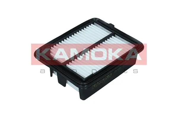 F259701 Kamoka