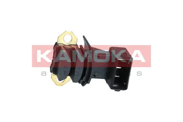 113001 Kamoka