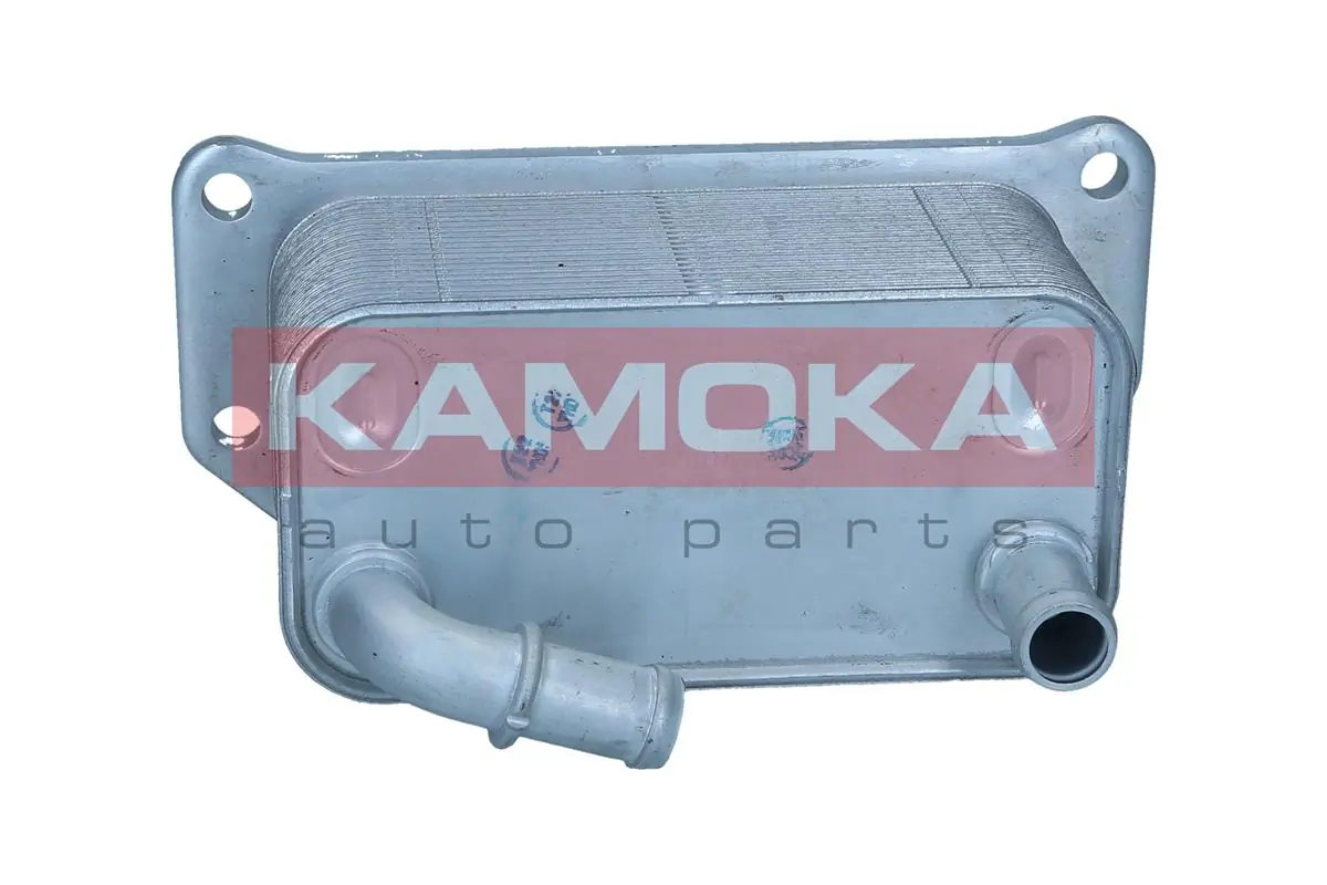 7730124 Kamoka