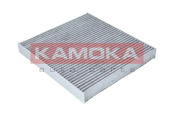 F509601 Kamoka Filtro antipolen
