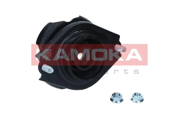 209209 Kamoka