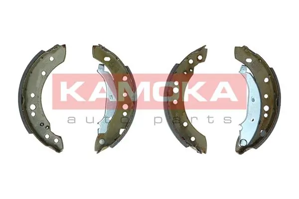 JQ202083 Kamoka
