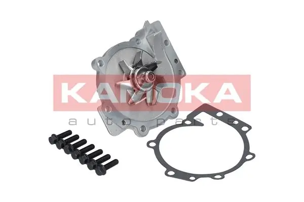 T0270 Kamoka