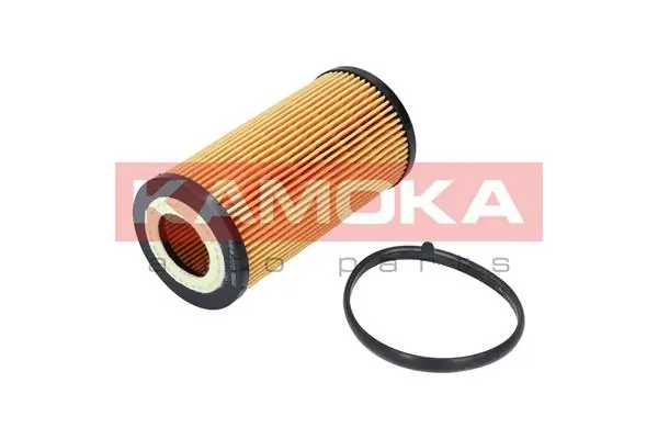 F110501 Kamoka